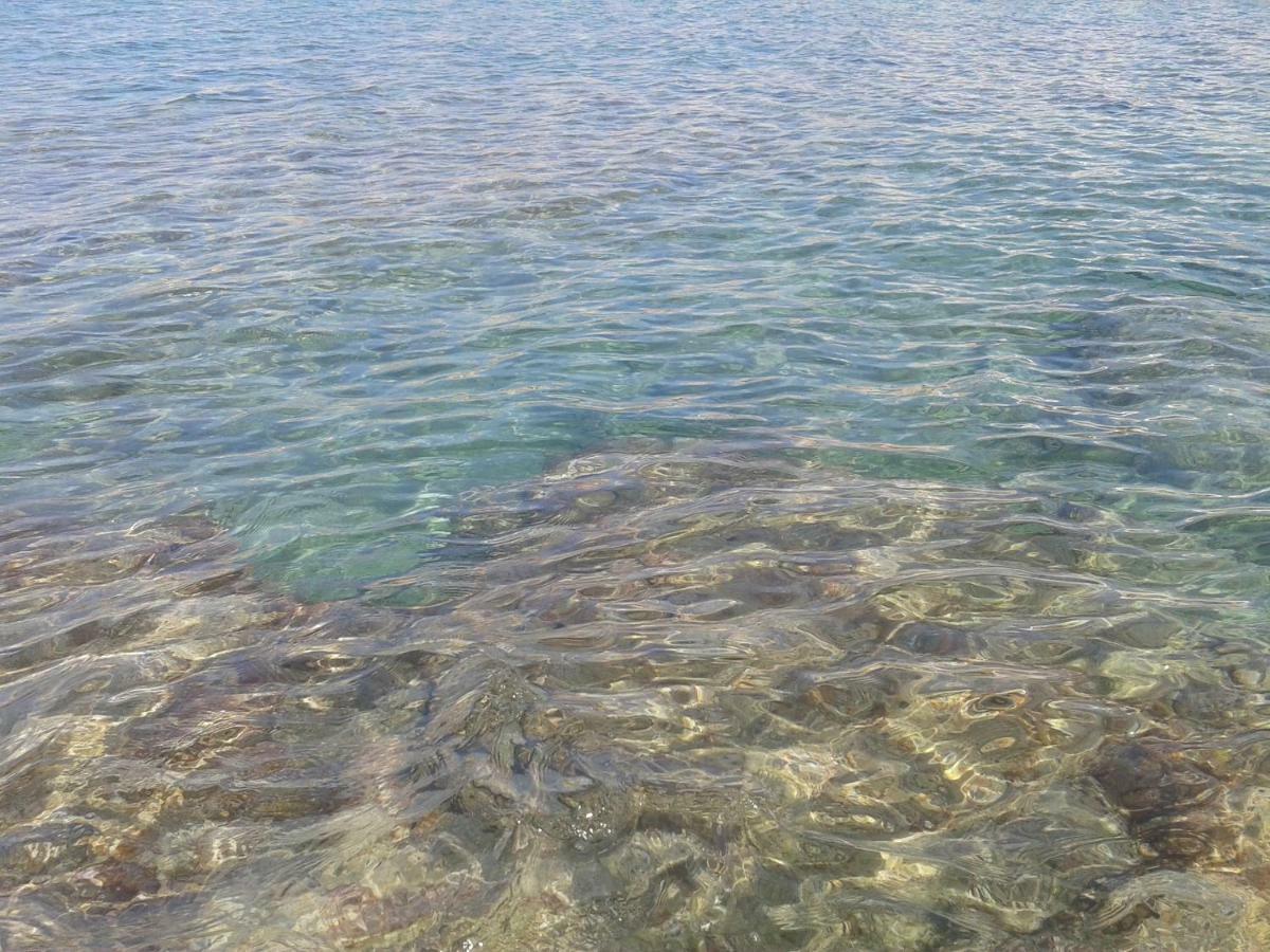 Appartamento Caletta Rosignano Solvay Εξωτερικό φωτογραφία